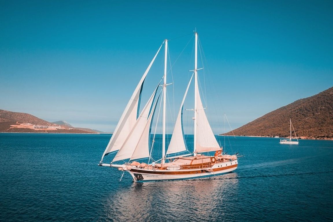 Wicked Felina